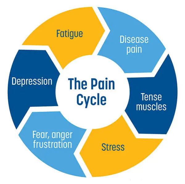 the pain cycle