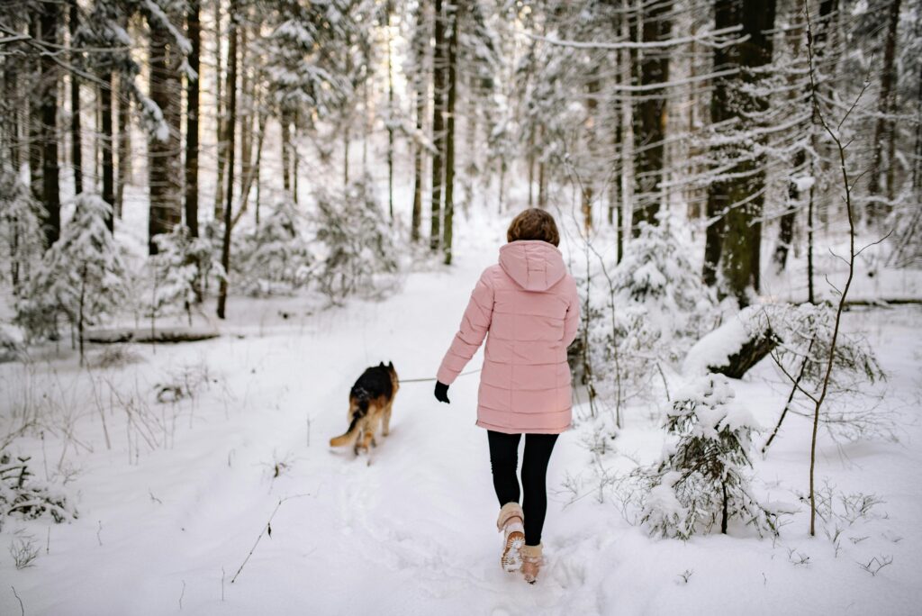 A woman in a pink coat is walking her german sheppard in a snow covered forest